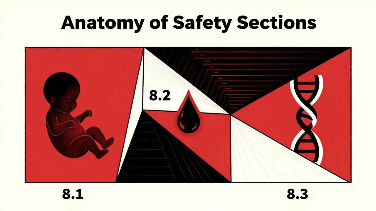 Geometric layout showing the three safety sections for pregnancy, lactation, and reproductive health.